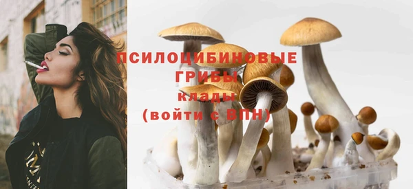 гашик Беломорск