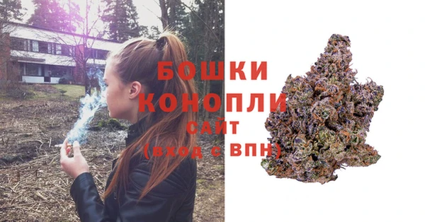 первитин Белокуриха