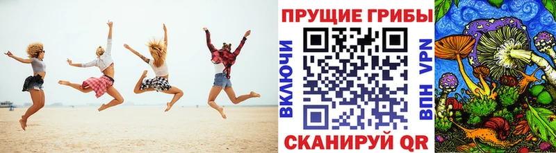 Галлюциногенные грибы мицелий  купить  цена  Ковылкино 